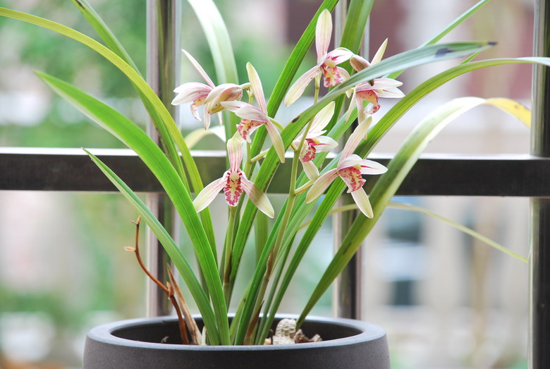 7��26�ա����� 011.jpg