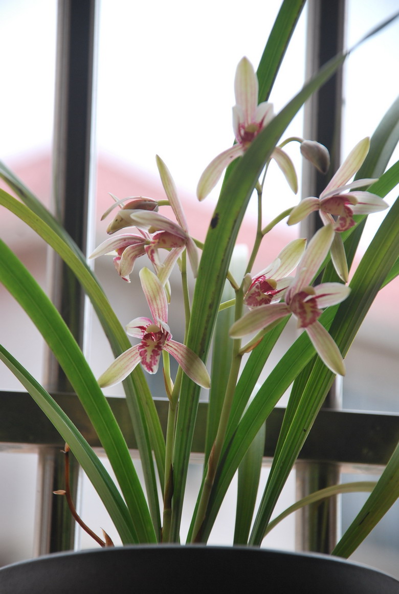 7��26�ա����� 008.jpg