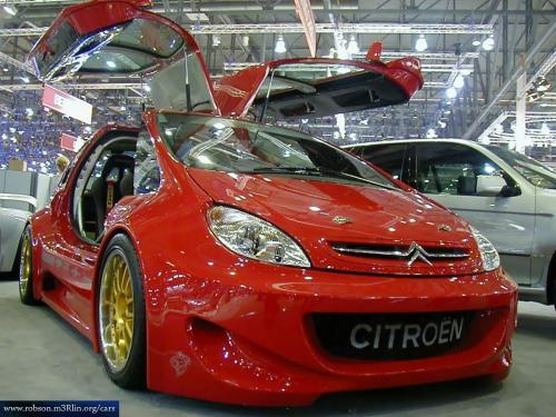 citroen-picasso-mega-tuning-copy.thumbnail.jpg