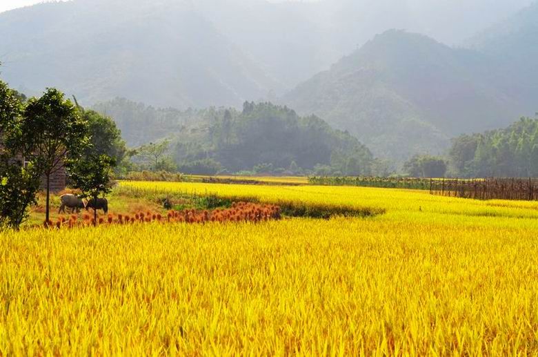 ���� ��Ƭ 028.jpg