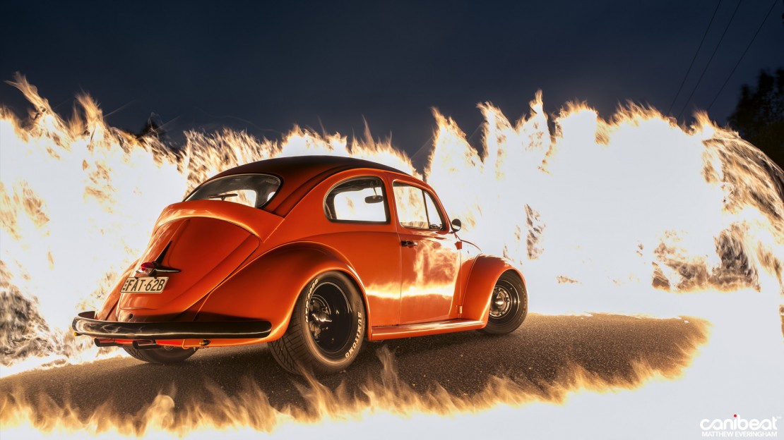 Dallas_Webb_Beetle_16-1110x624.jpg