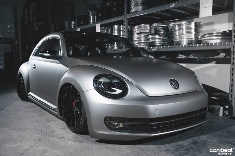 Rotiform_Beetle_10-1110x740.jpg