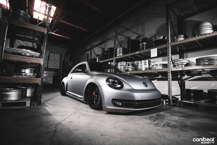 Rotiform_Beetle_2-1110x740.jpg