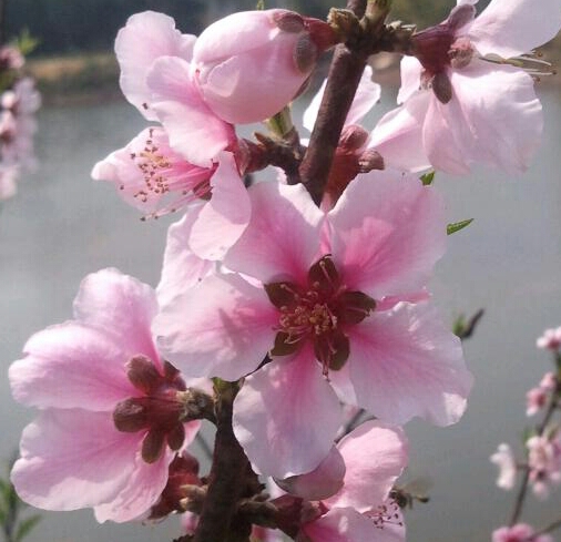 2012-02-19 12.00.33-1-1.jpg