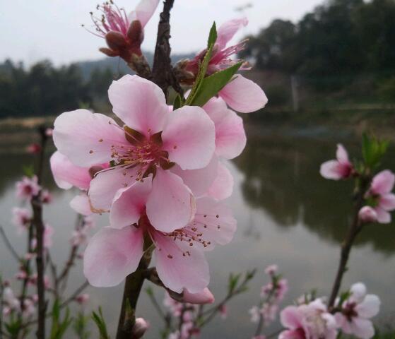 2012-02-19 14.28.27-1.jpg