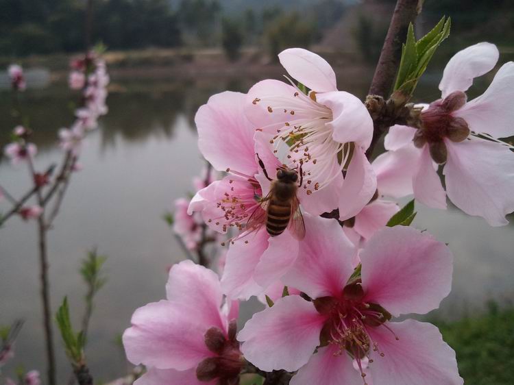 2012-02-19 14.28.37.jpg