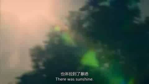 04����P1 (32).JPG