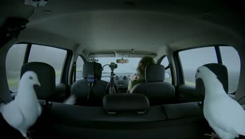 �ڿ���Σ��֮�� (109).JPG