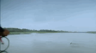 03����vs���г� (71).gif