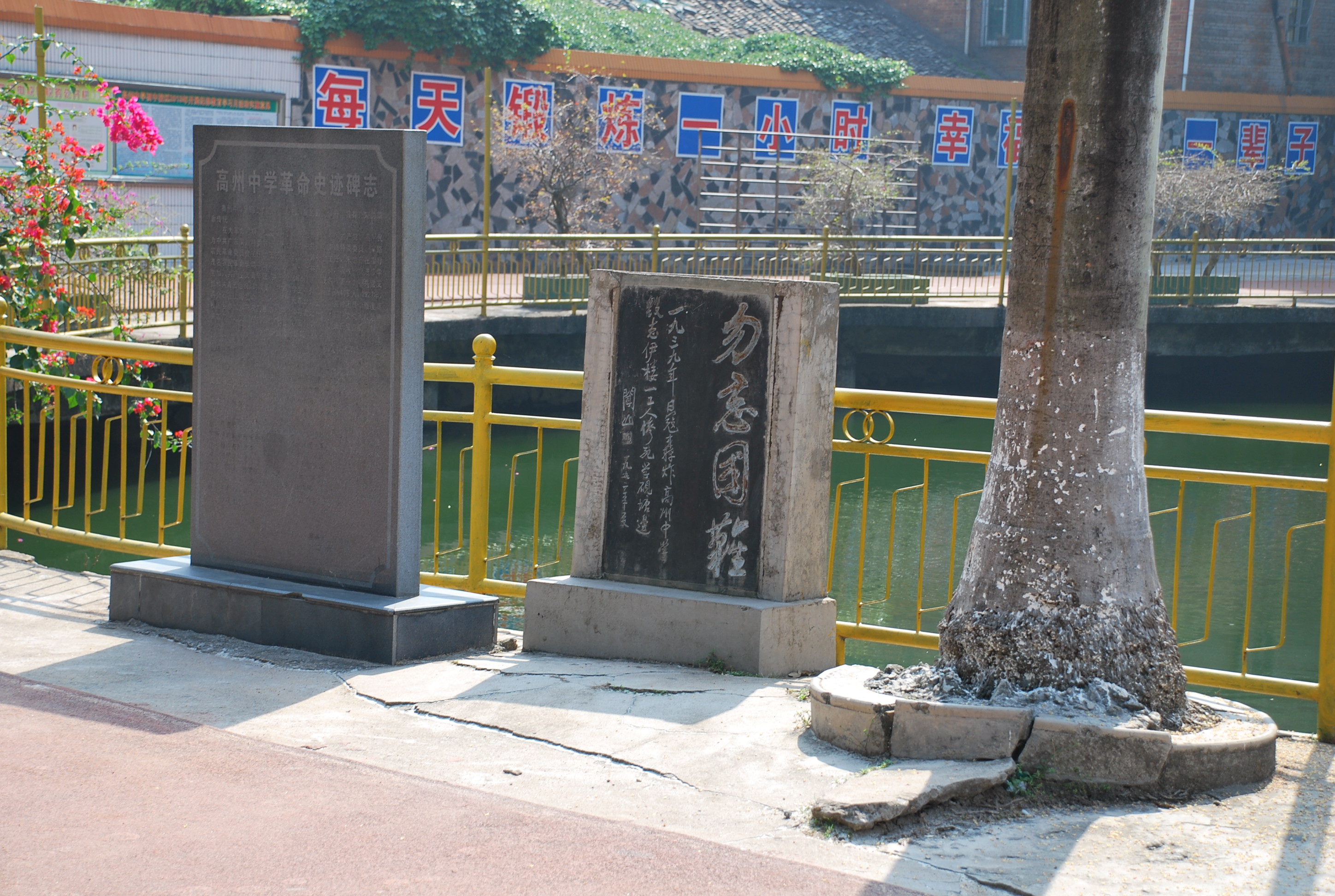 ͬѧ�ۻᣨĸУ�� 042.JPG