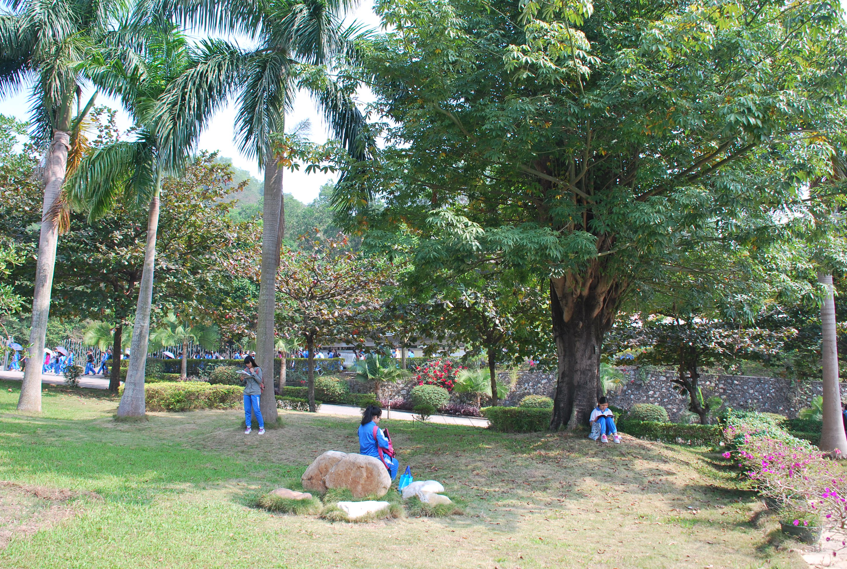 ͬѧ�ۻᣨĸУ�� 117.JPG