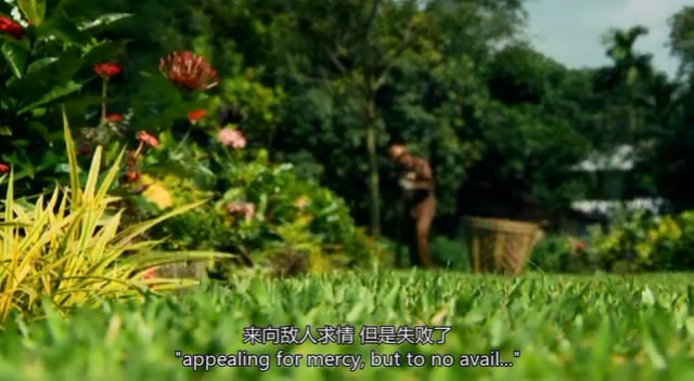 TopGear21��6 (60).JPG