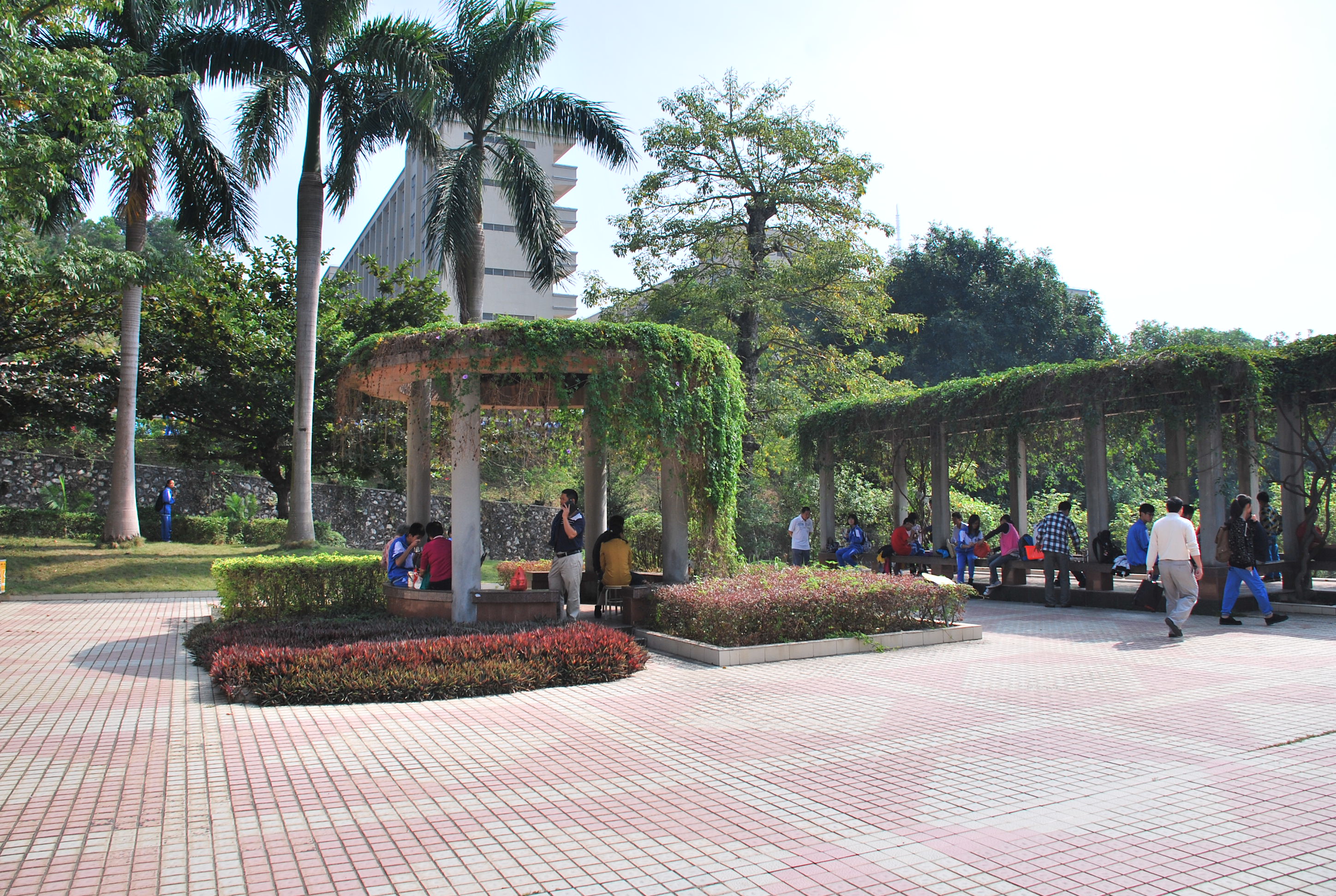 ͬѧ�ۻᣨĸУ�� 118.JPG