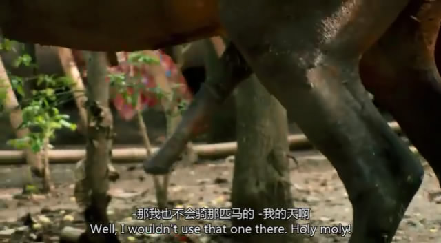 TopGear21��6 (158).JPG