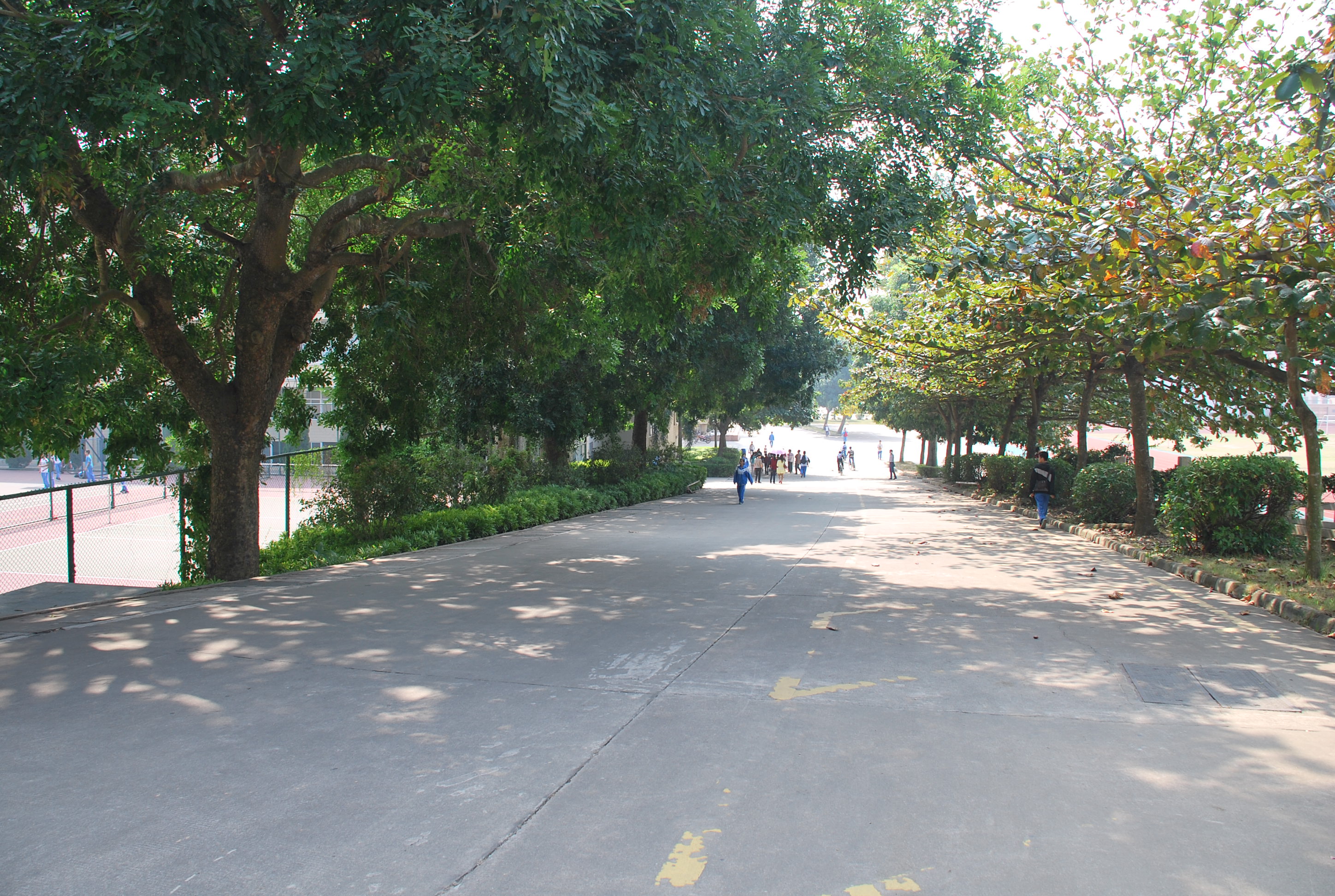 ͬѧ�ۻᣨĸУ�� 121.JPG