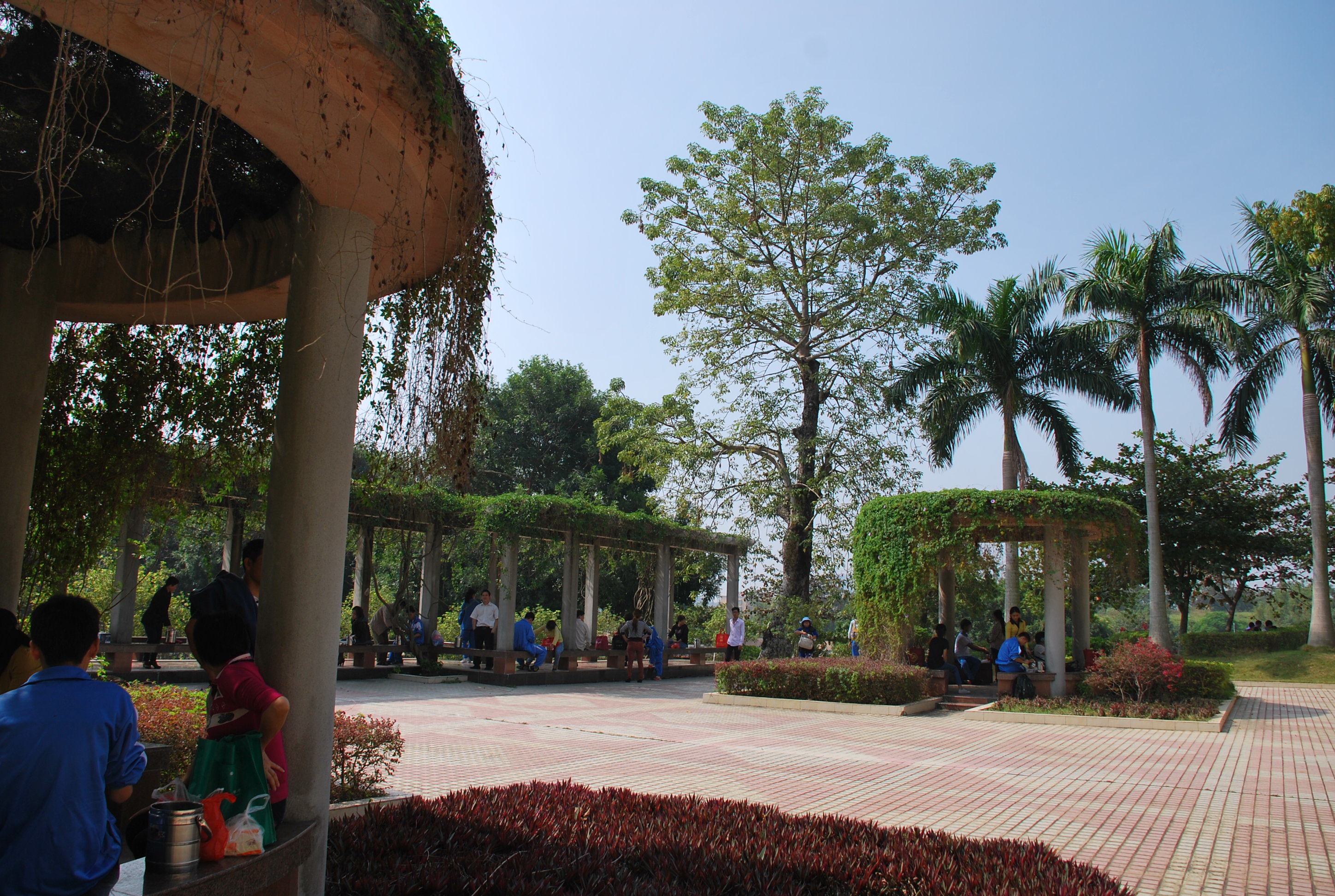 ͬѧ�ۻᣨĸУ�� 120.JPG