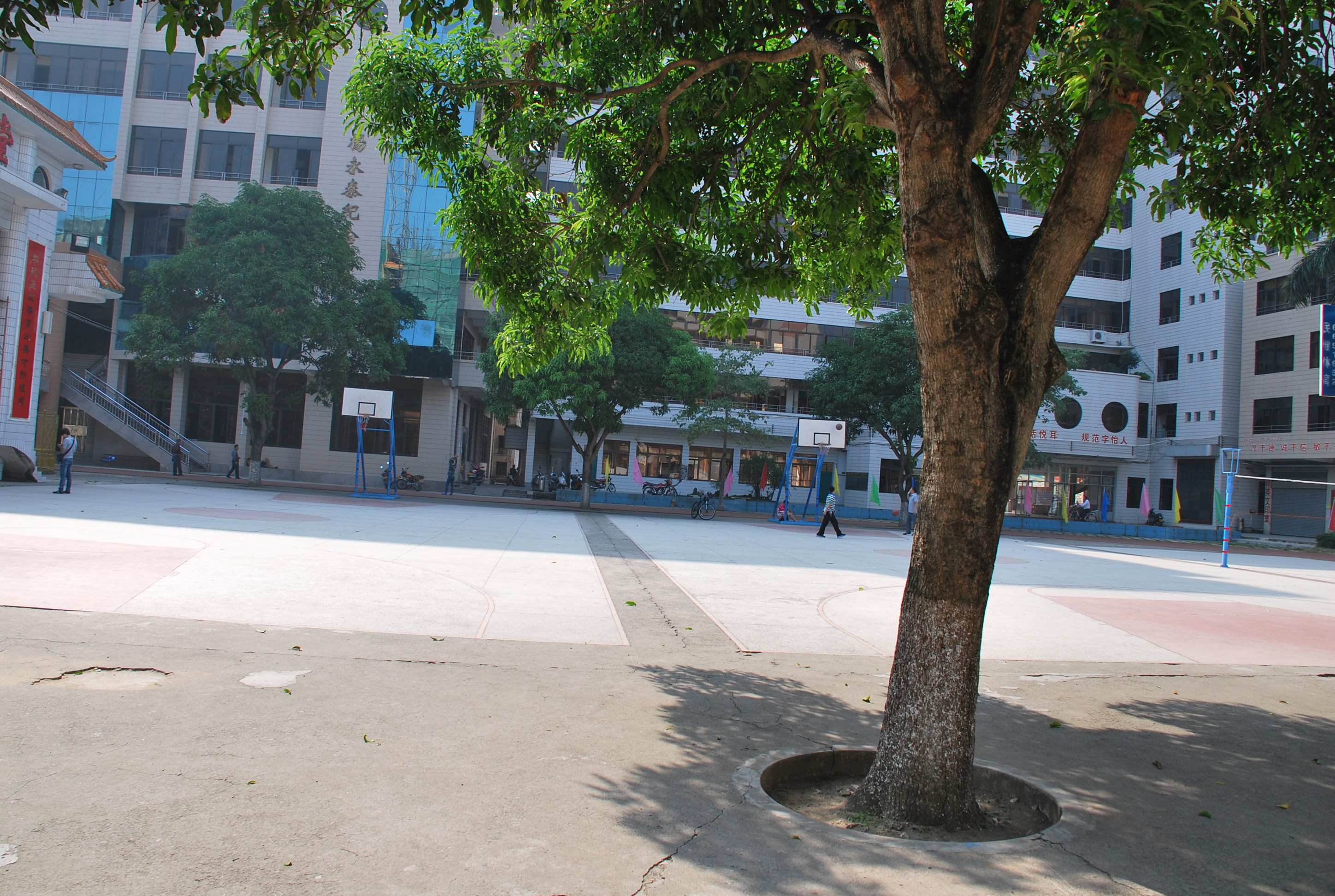 ͬѧ�ۻᣨĸУ�� 020.JPG