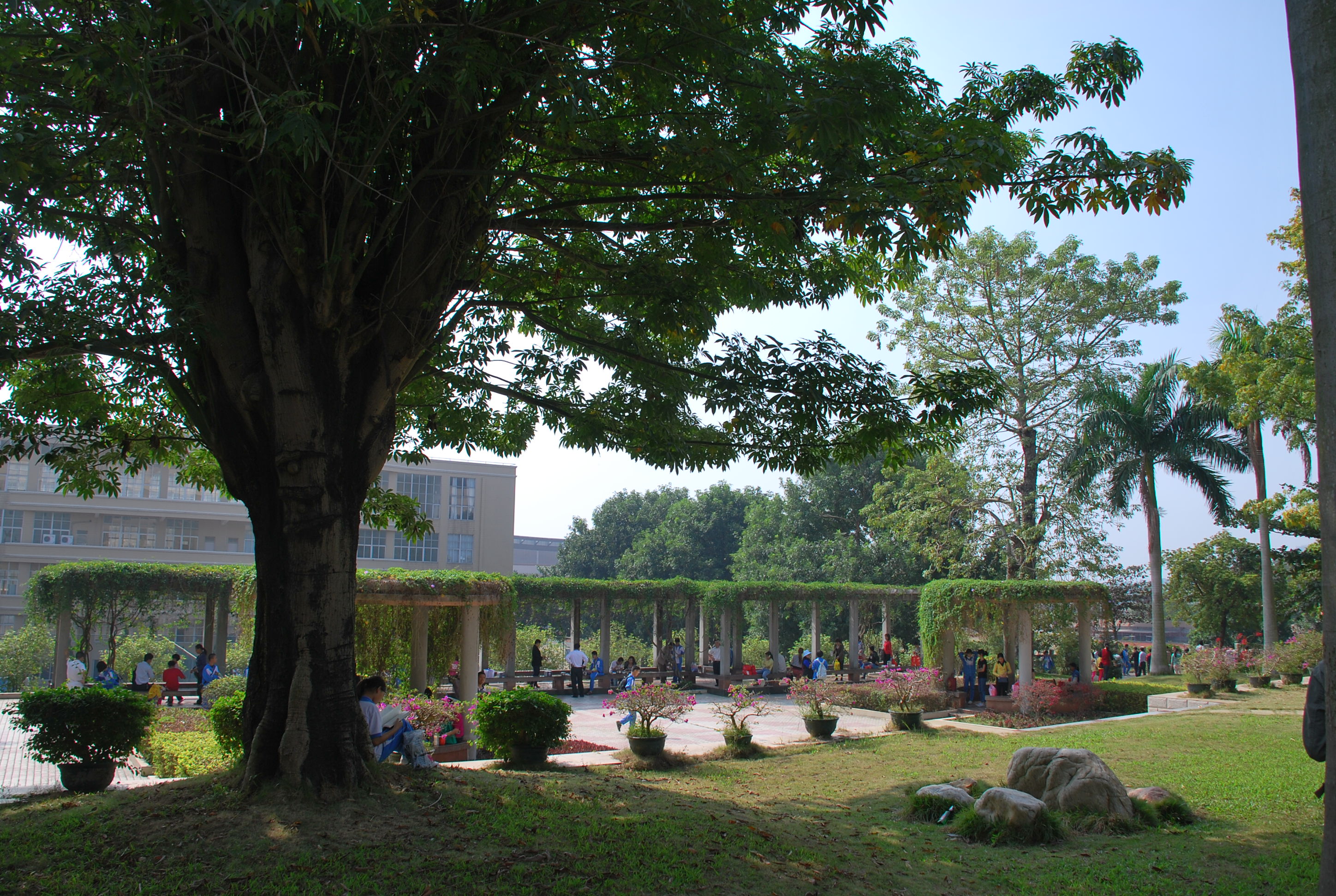 ͬѧ�ۻᣨĸУ�� 115.JPG