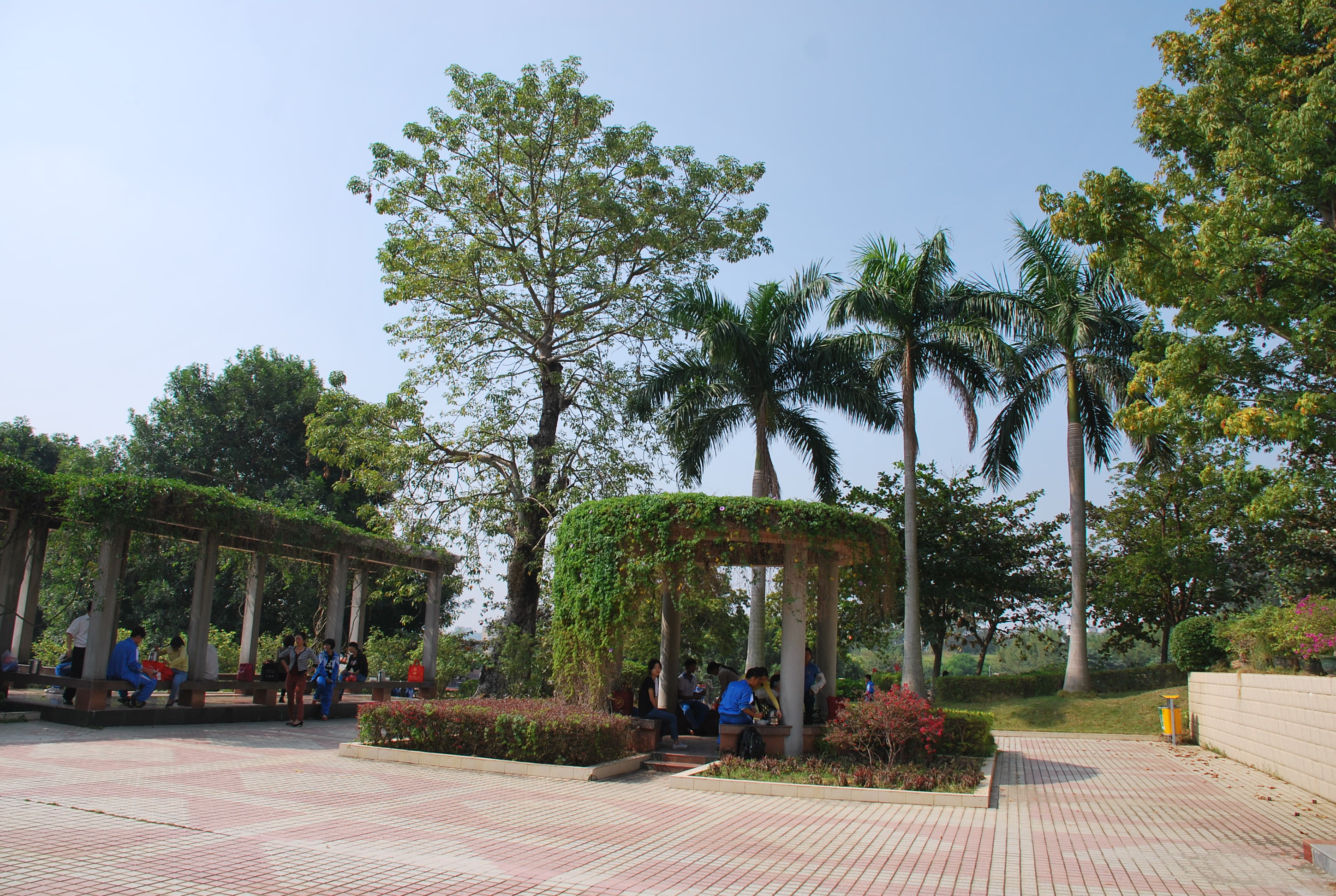 ͬѧ�ۻᣨĸУ�� 119.JPG