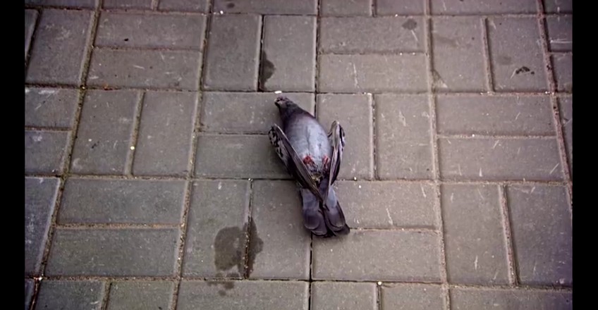 01��������ҫ֮ս (159).jpg