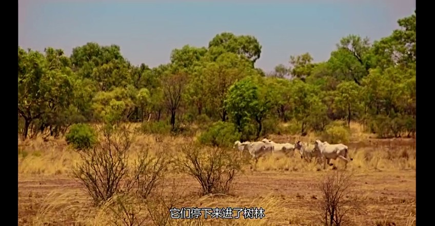 02���ǰµ���,�ǰĴ����� (249).jpg