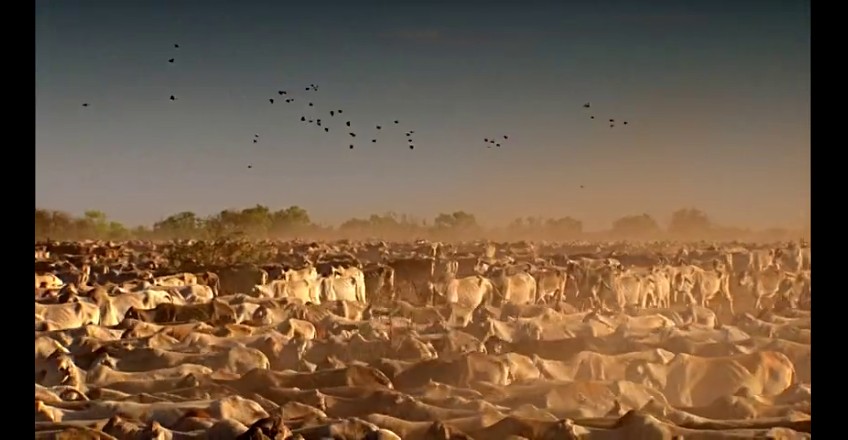 02���ǰµ���,�ǰĴ����� (253).jpg