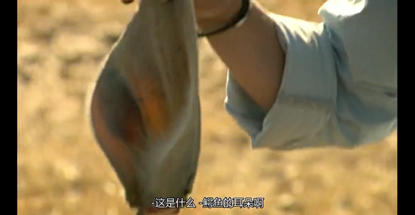 02���ǰµ���,�ǰĴ����� (228).jpg