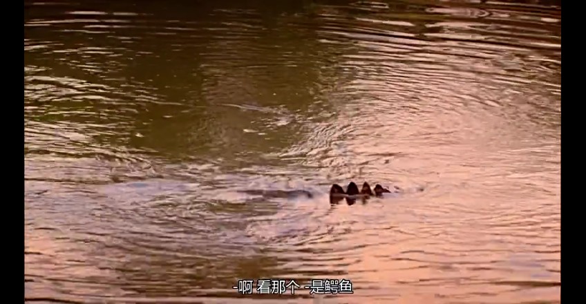 02���ǰµ���,�ǰĴ����� (103).jpg