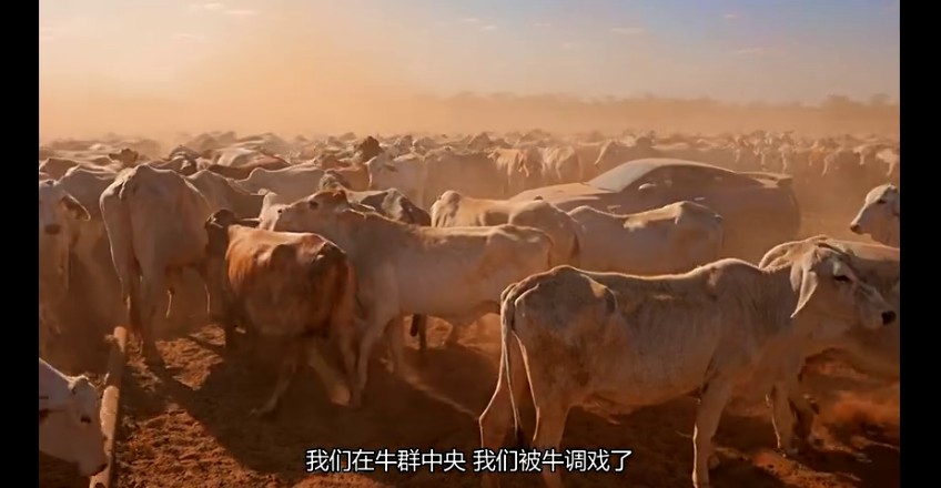 02���ǰµ���,�ǰĴ����� (260).jpg