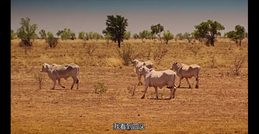 02���ǰµ���,�ǰĴ����� (246).jpg