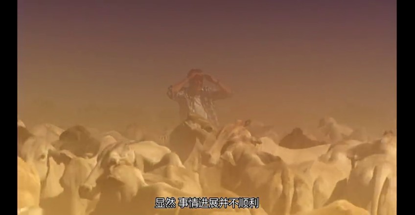 02���ǰµ���,�ǰĴ����� (264).jpg