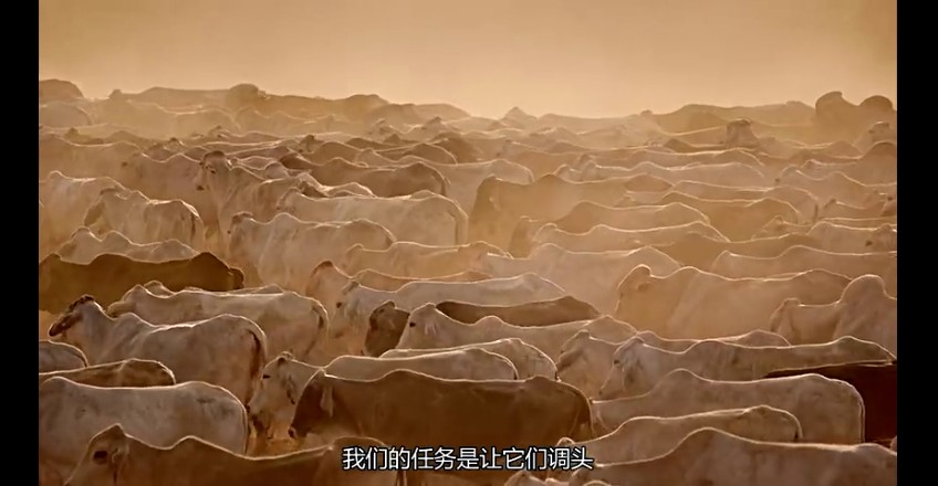 02���ǰµ���,�ǰĴ����� (255).jpg