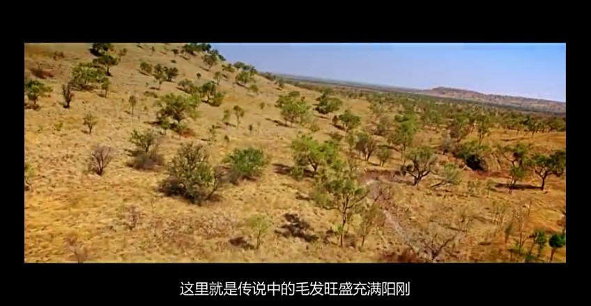 02���ǰµ���,�ǰĴ����� (14).jpg