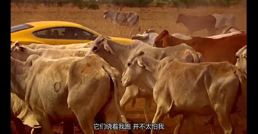 02���ǰµ���,�ǰĴ����� (258).jpg