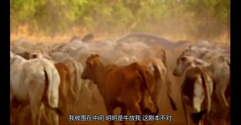 02���ǰµ���,�ǰĴ����� (259).jpg