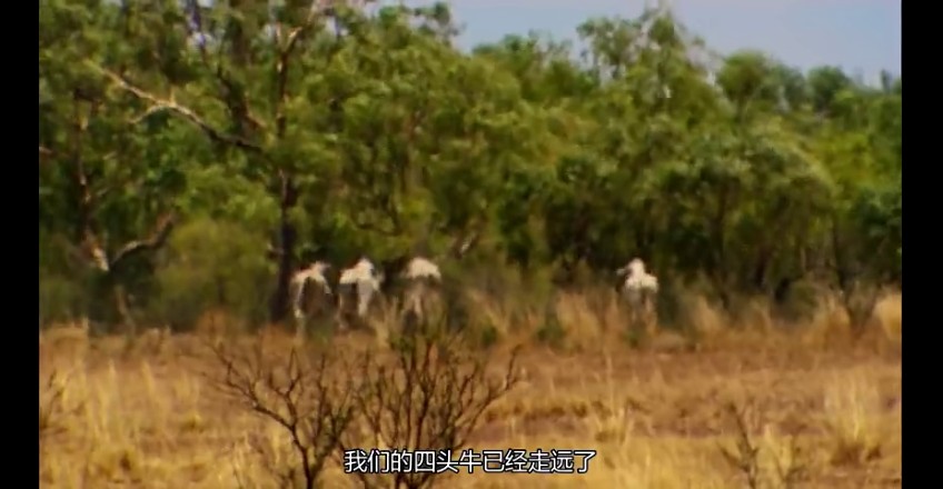 02���ǰµ���,�ǰĴ����� (250).jpg