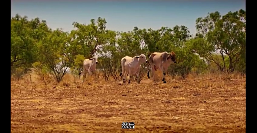 02���ǰµ���,�ǰĴ����� (248).jpg