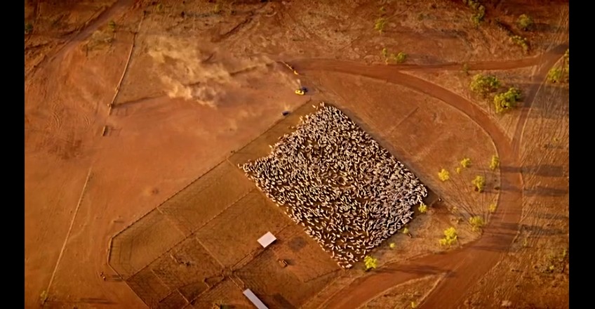 02���ǰµ���,�ǰĴ����� (280).jpg