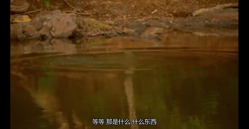 02���ǰµ���,�ǰĴ����� (101).jpg