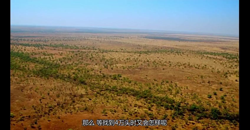 02���ǰµ���,�ǰĴ����� (252).jpg