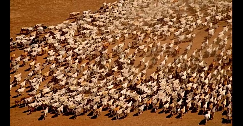 02���ǰµ���,�ǰĴ����� (254).jpg