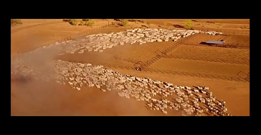 02���ǰµ���,�ǰĴ����� (277).jpg