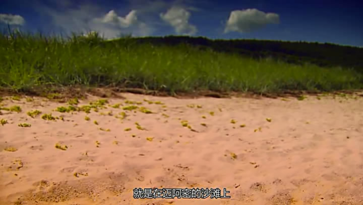 05·����ʿ (7).JPG