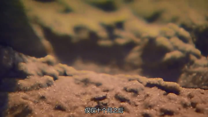 05·����ʿ (16).JPG