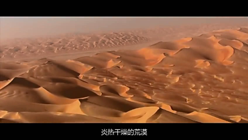 05�ó���-���� (8).JPG