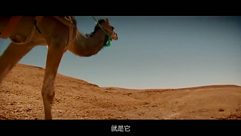 05�ó���-���� (9).JPG