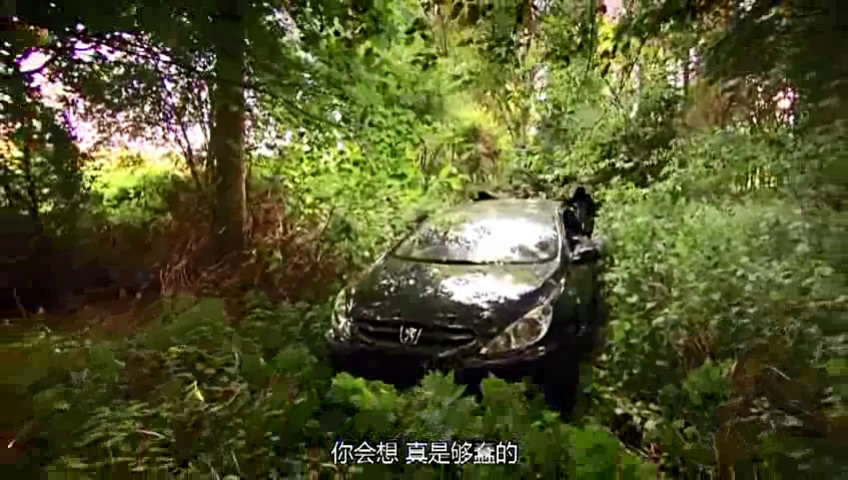 05�ó���-���� (101).JPG