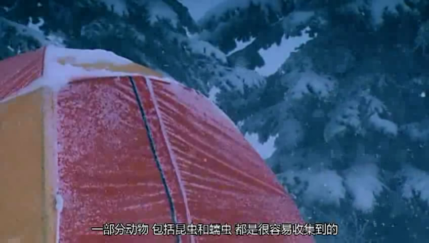 04��ƨ��Ԯ�� (59).JPG