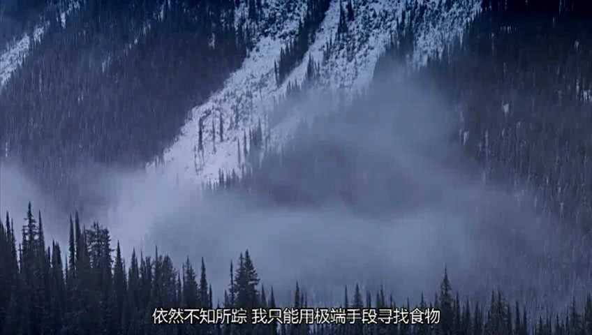 04��ƨ��Ԯ�� (113).JPG