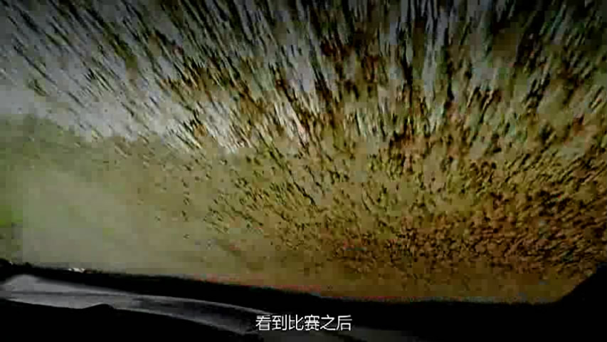 05����֮�� (66).JPG